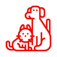 TIERE