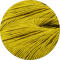 CAPRI 22*- mustard yellow
