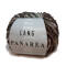 PANAREA*