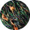 TUTOLUCCI* Fb. 15 - green/purple/rust
