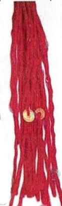 031 - Rot
