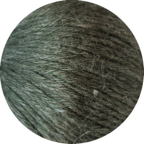 18 - Oliv