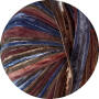 SARI / PRINT*