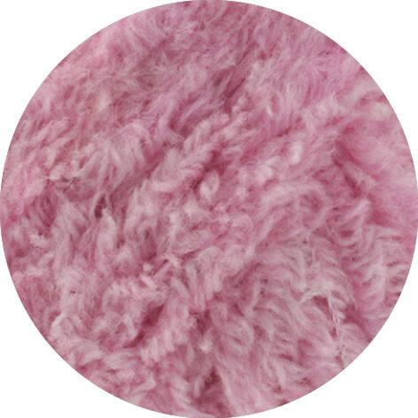14 - Rosa