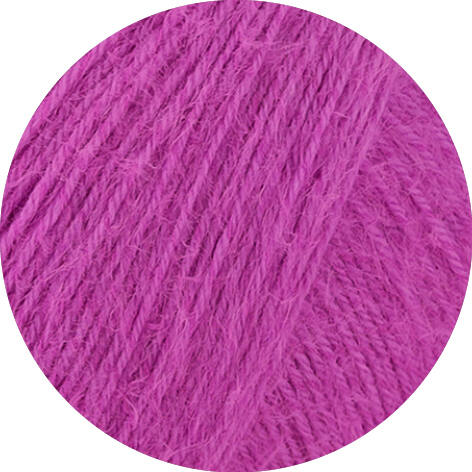 16 - Fuchsia