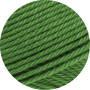 54 - fern green