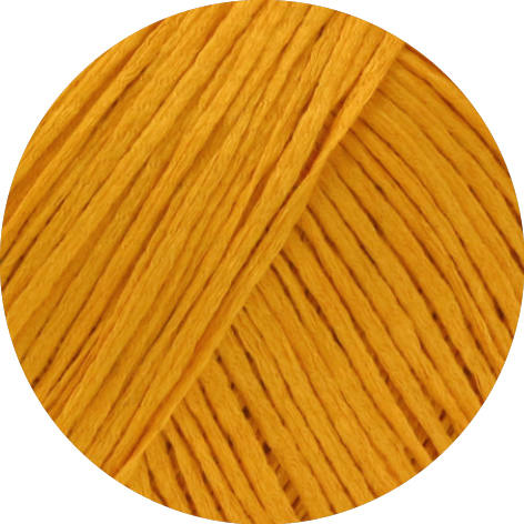 11 - broom yellow